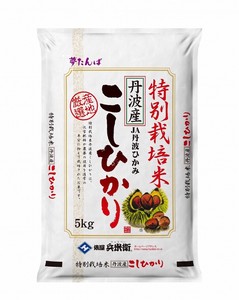 【送料無料】米 お米 精米　令和5年産特別栽培米　丹波産コシヒカリ5kg