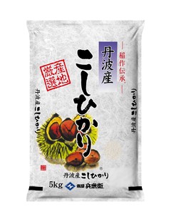 【送料無料】米 お米 精米　令和4年産丹波産コシヒカリ5kg