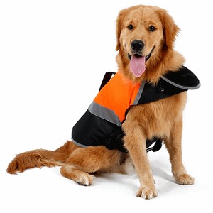 犬 服 浮き輪 水遊び 安心 安全    J9#ZJEA1004