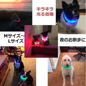 光る 首輪 犬 猫 くび飾り 夜安全対策 USB充電  	 E1X011 #ZJEA1019