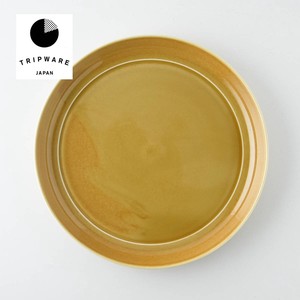 Mino ware Main Plate Trip Caramel Made in Japan