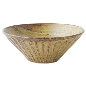 Mino ware Main Dish Bowl L size Made in Japan