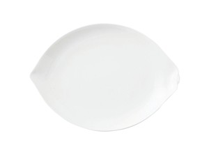 Mino Ware Plates Pottery Lemon Platter Made in Japan