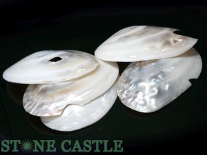 【天然石 置き石】真珠貝殻 (5個セット) ★特価★ 【天然石 パワーストーン】