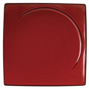 Mino ware Main Plate Red Vintage 28cm Made in Japan