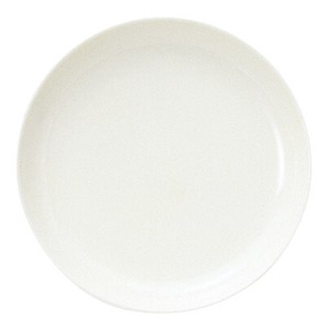[美濃焼] ｶﾝﾃｨｰﾇ 31.5cm丸皿 [食器 日本製]「2022新作」