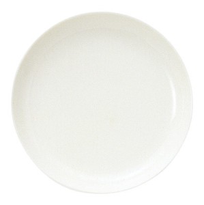 [美濃焼] ｶﾝﾃｨｰﾇ 25.5cm丸皿 [食器 日本製]「2022新作」