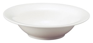 Mino ware Donburi Bowl 18.5cm Made in Japan