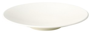 Mino ware Donburi Bowl White 26cm Made in Japan