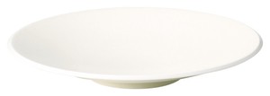 Mino ware Donburi Bowl White 24.5cm Made in Japan