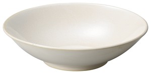Mino ware Donburi Bowl 24cm Made in Japan