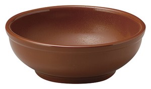 Mino ware Donburi Bowl Brown Bird 23cm Made in Japan