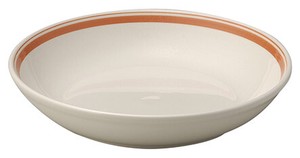 Mino ware Donburi Bowl Bird Orange 22.5cm Made in Japan