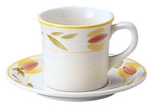 Mino ware Cup & Saucer Set Coffee Cup and Saucer Tempo Made in Japan
