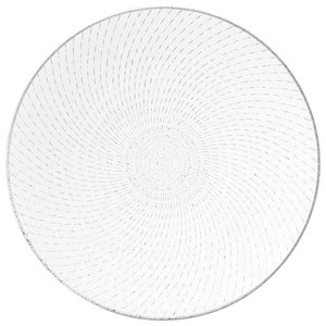 Mino ware Main Plate White 27.5cm Made in Japan