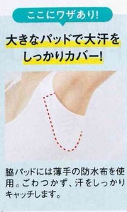 Undershirt Cotton Made in Japan