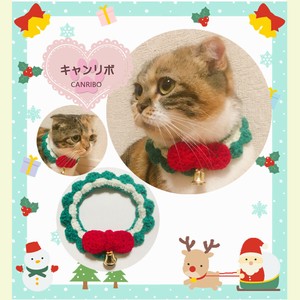 Cat collars Cat