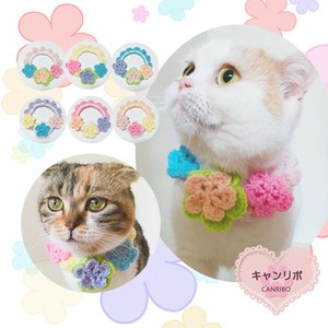 Cat collars Cat