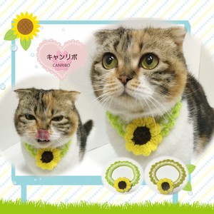 Cat collars Cat