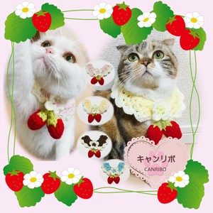 Cat collars Cat