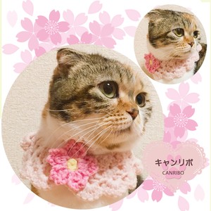 Cat collars Cat Sakura