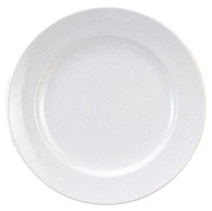 Mino ware Main Plate White 24cm Made in Japan