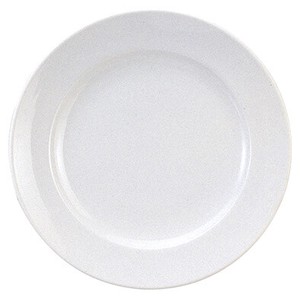 Mino ware Main Plate White 30cm Made in Japan