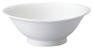 Mino Ware Donburi Bowl A La Carte Attached Ramen Donburi Bowl Plates Made in Japan