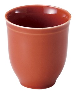 Mino Ware Japanese Tea Cup Suzaku Japanese Tea Cup Plates Made in Japan