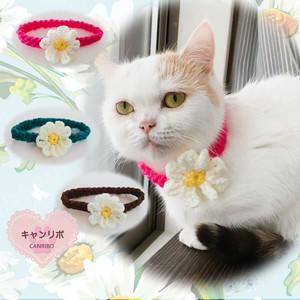 Cat collars Cat