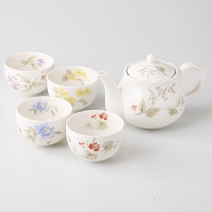 Gift Hana shirabe Pot Tea Utensils Set Plates Mino Ware Made in Japan