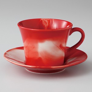 Mino ware Cup & Saucer Set Red Gift Made in Japan