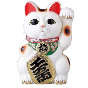 美浓烧 大餐盘/中餐盘 餐具 礼盒/礼品套装 4号 日本制造