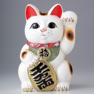 美浓烧 大餐盘/中餐盘 餐具 礼盒/礼品套装 7号 日本制造