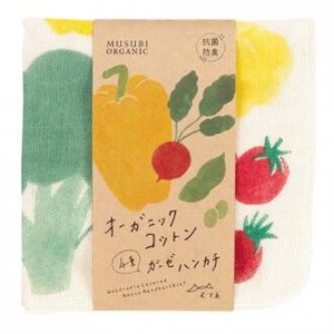 Collection US Aoyama 4 Gauze Handkerchief Vegetable Multi Made in Japan Organic