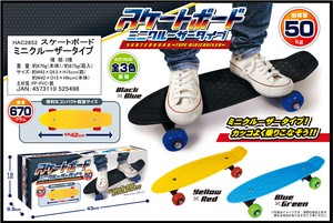 Skate Board Mini Type