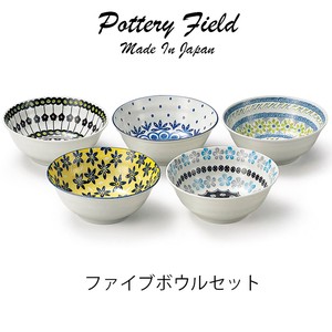 Pottery Field Five Bowl Set Gift Made in Japan Mino Ware Plates Pottery