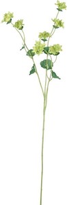 【造花】ブプレリウム　グリーン