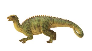 【エイチツーオー】テノントサウルス