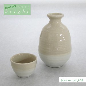 Mino ware Barware Sake set Made in Japan
