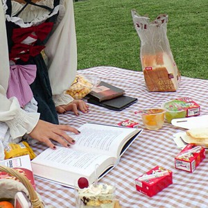 餐垫 野餐 携带型/便携式
