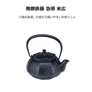 Nambu Tekki Japanese Tea Pot SUEHIRO Stainless Tea Strainer Ikenaga Tekko