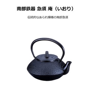 Nambu Tekki Japanese Tea Pot Stainless Tea Strainer Ikenaga Tekko