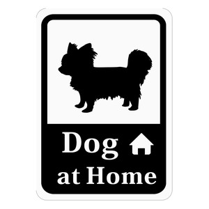 家に犬がいますステッカー「チワワ」 Dog at Home (再剥離ステッカー)