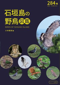 石垣島の野鳥図鑑