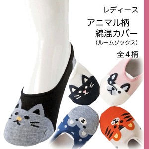 Room Shoe Cat Dog