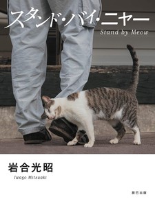 宠物/动物书籍 立式 猫