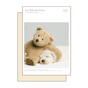 Photo Series A5 Notebook Bear Dog