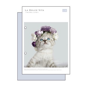 Photo Series A5 Notebook Purple Cat