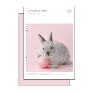Photo Series A5 Notebook Pink Ball Rabbit